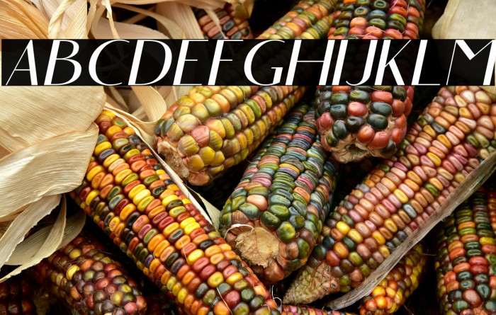 Angelic Bonques Free Sans Ita Example 2