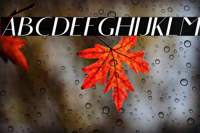 Angelic Bonques Free Sans Ita Example 3