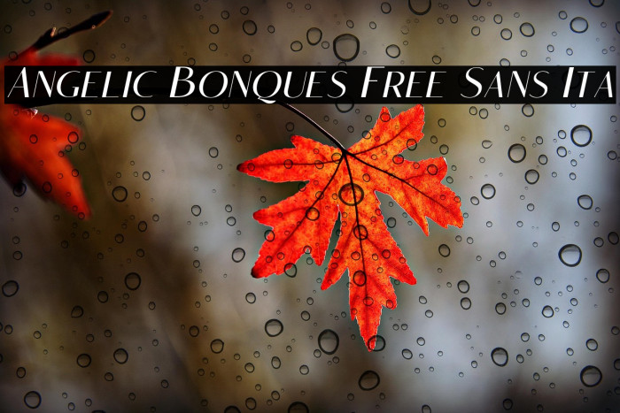 Angelic Bonques Free Sans Ita Example 3