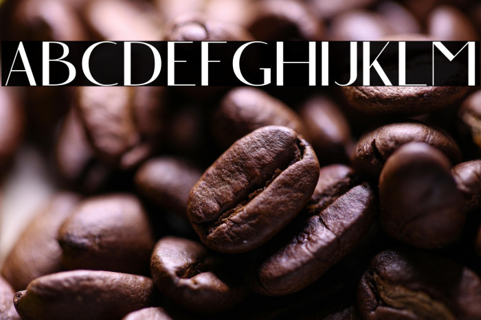 Angelic Bonques Free Sans Example 3