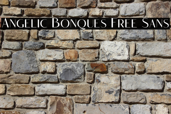 Angelic Bonques Free Sans Example 2