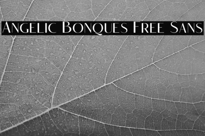 Angelic Bonques Free Sans Font examples