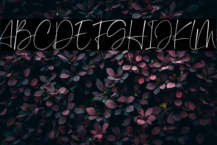 Angelic Smiles Example 1