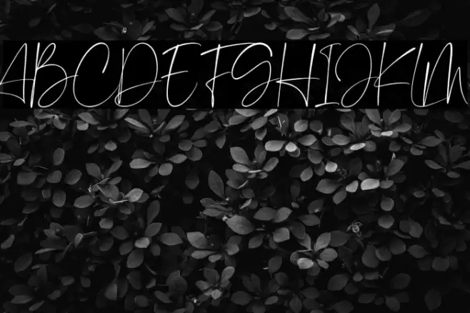 Angelic Smiles Font examples