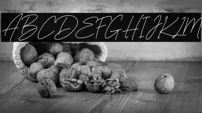 AngelicBonquesFree-Script Font examples