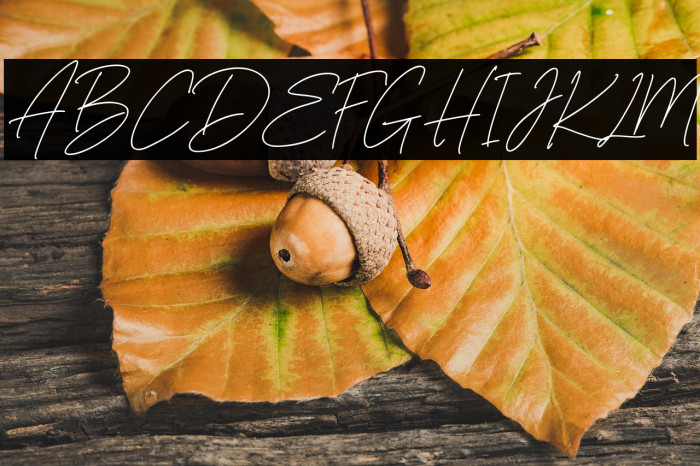 AngelicBonquesFree-Script Example 3