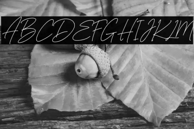 AngelicBonquesFree-Script Font examples