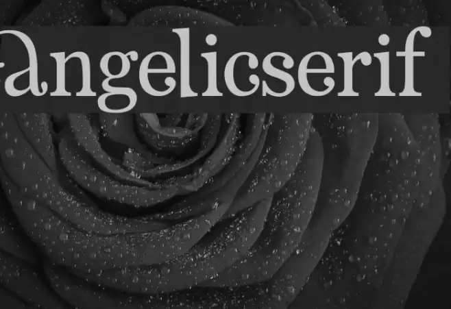 AngelicSerif Font examples