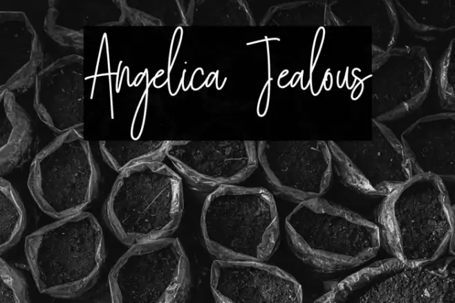 Angelica Jealous Font examples