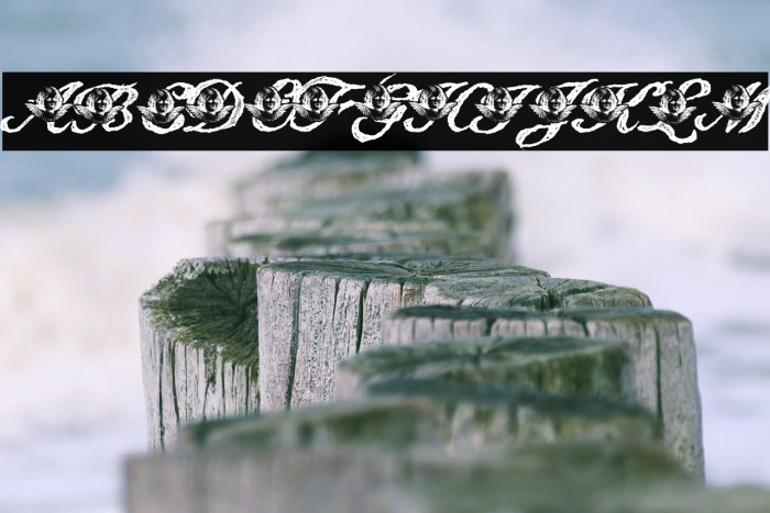 Angelica Personal Use Italic Example 1