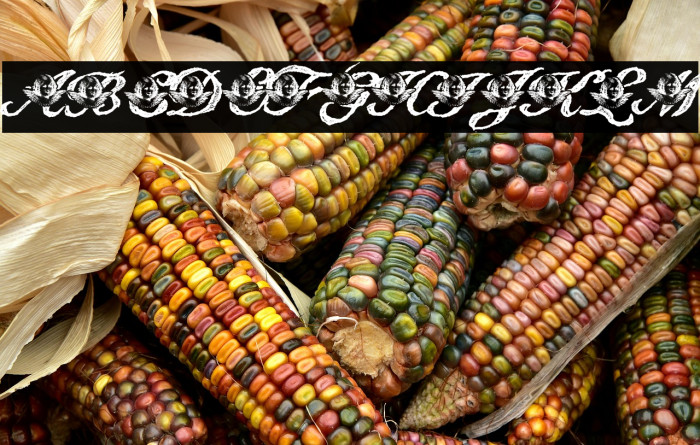 Angelica Personal Use Italic Example 2