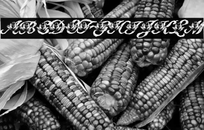 Angelica Personal Use Italic Font examples