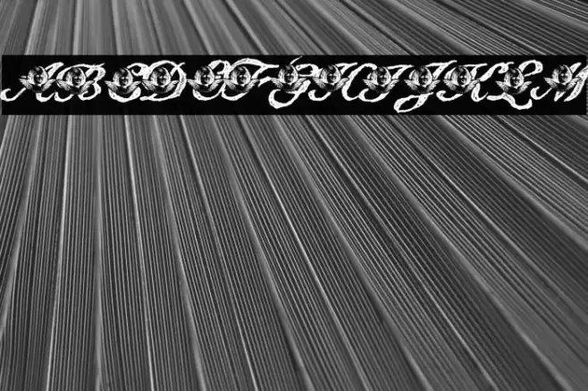 Angelica Personal Use Italic Font examples