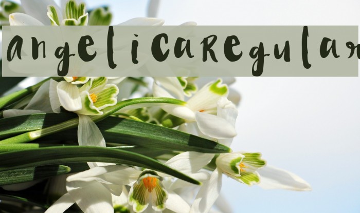 Angelica-Regular Font examples