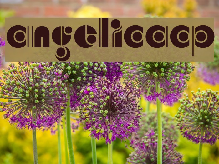 AngelicaCP Font examples