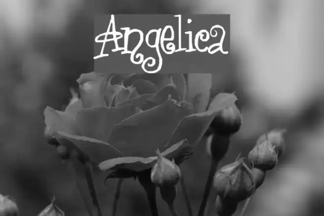 Angelica Font examples