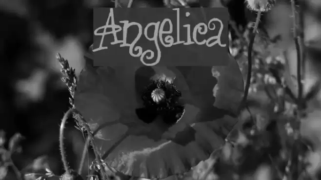 Angelica Font examples