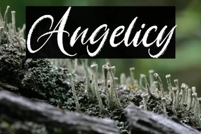 Angelicy Example 1