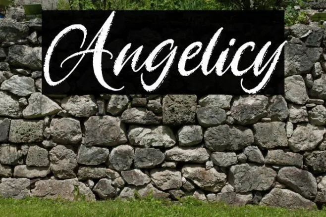 Angelicy Example 2
