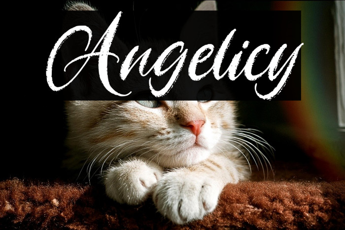 Angelicy Example 3
