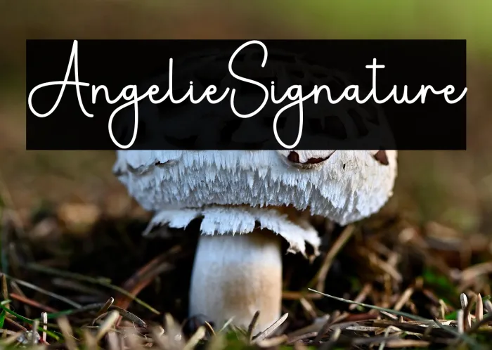 Angelie Signature Example 2