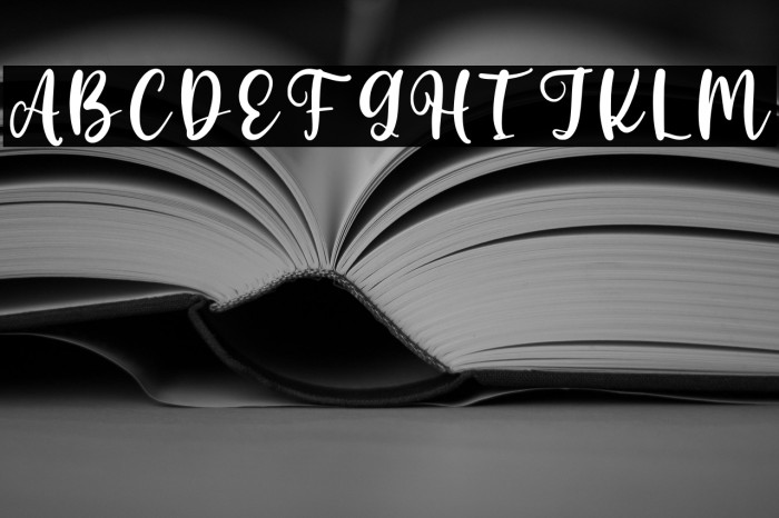 Angelin Heart Personal Use Example 1