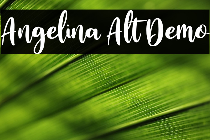 Angelina Alt Demo Example 3