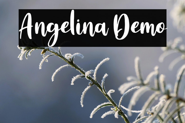 Angelina Demo Example 1