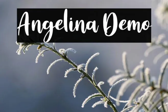 Angelina Demo Example 1