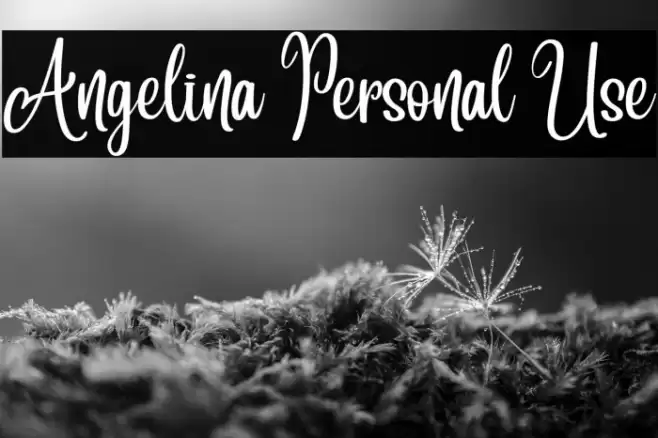 Angelina Personal Use Font examples