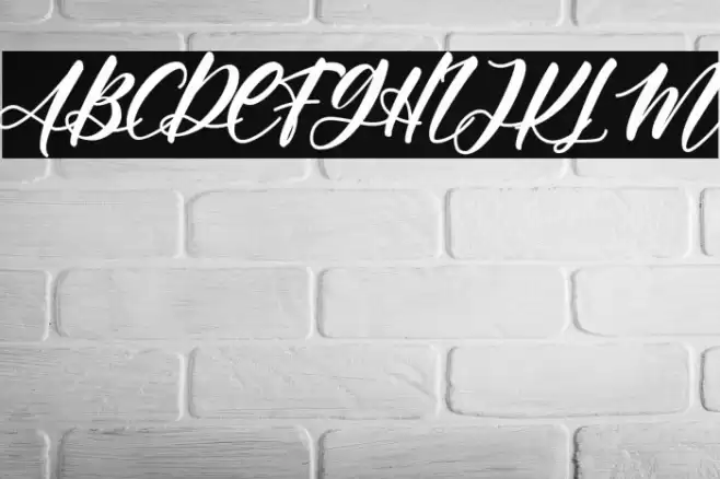 Angelina Rahmy Font examples