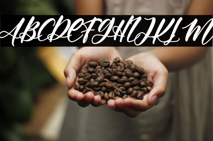 Angelina Rahmy Example 3