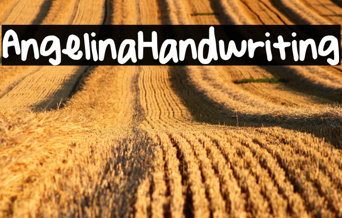 AngelinaHandwriting Example 2