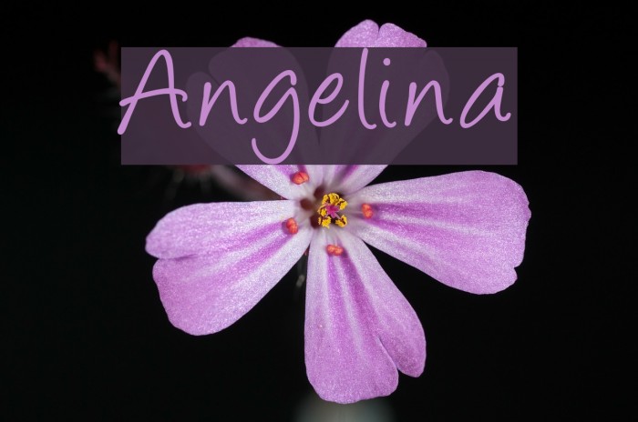Angelina Font examples
