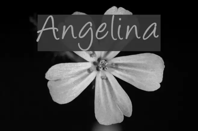 Angelina Font examples