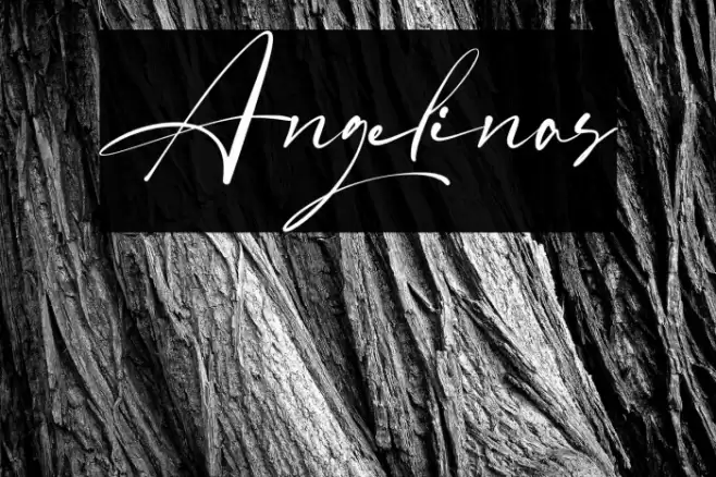 Angelinas Font examples