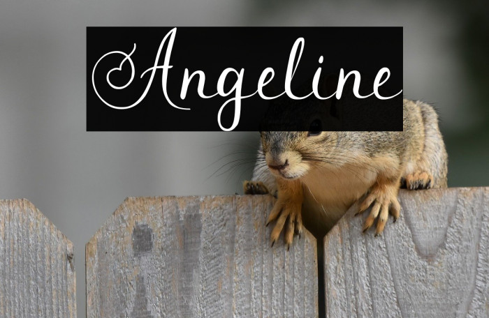 Angeline Example 1