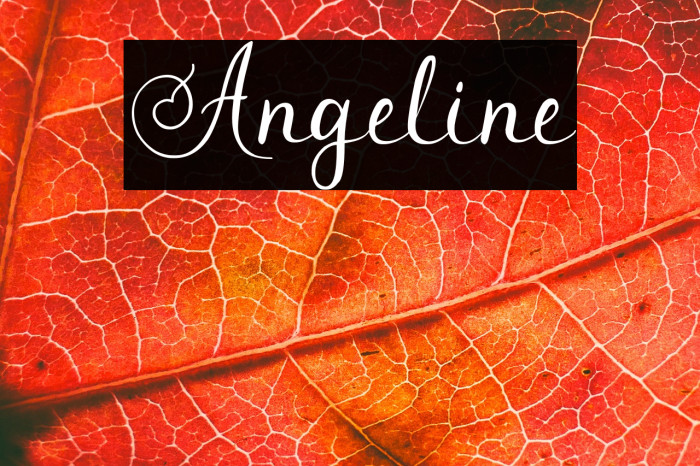 Angeline Example 2