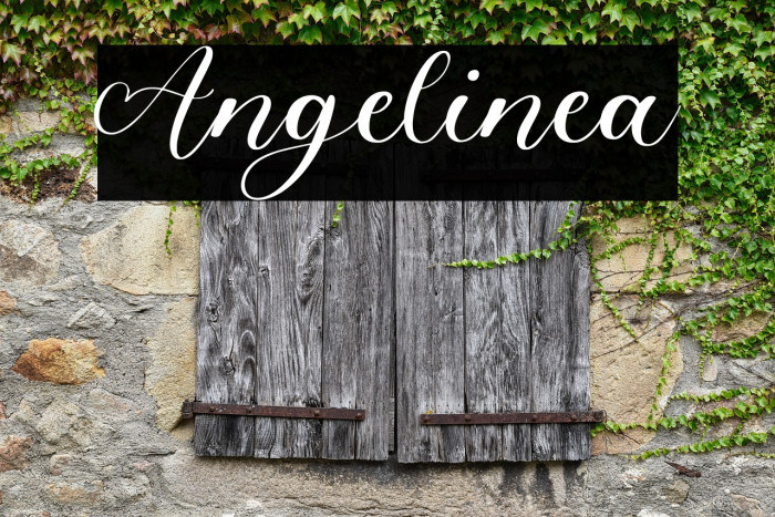 Angelinea Example 1