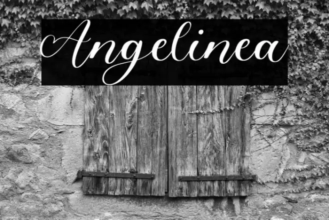 Angelinea Font examples