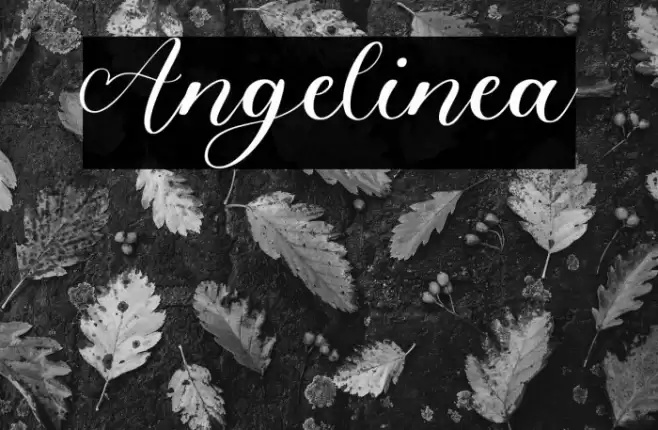 Angelinea Font examples