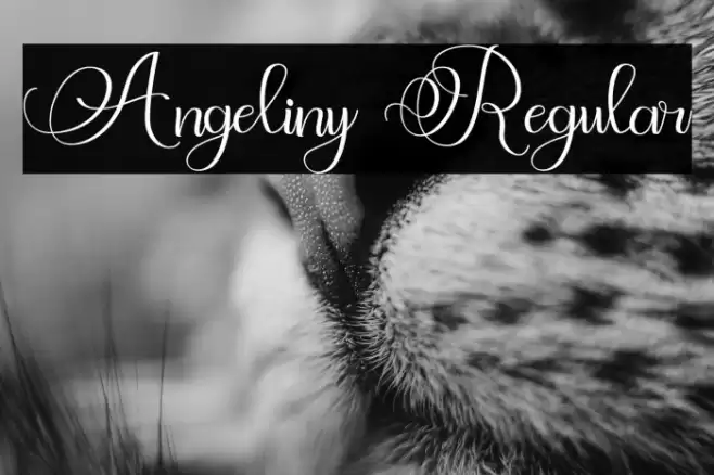 Angeliny Regular Font examples