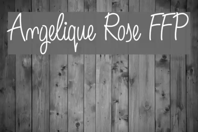 Angelique Rose FFP フォント examples