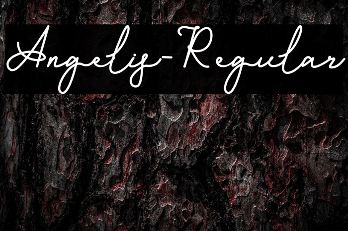 Angelis-Regular Example 1