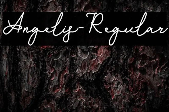 Angelis-Regular Example 1