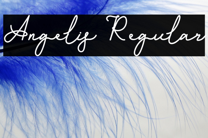 Angelis Regular Example 1
