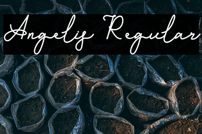 Angelis Regular Example 3