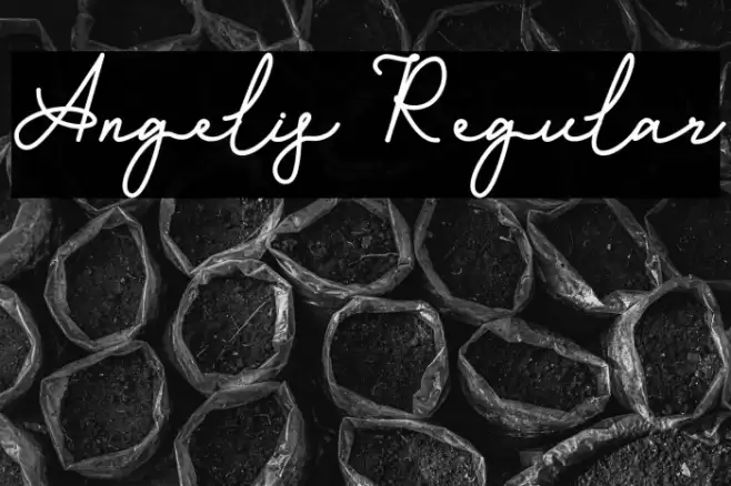 Angelis Regular Font examples