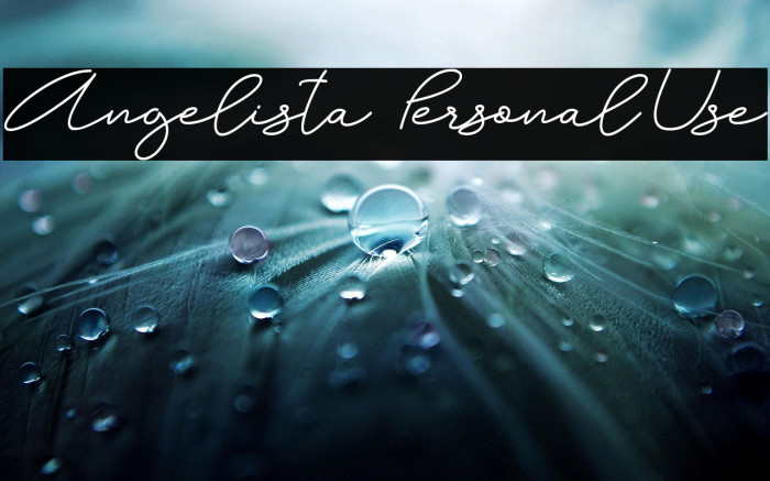 Angelista - Personal Use Example 2