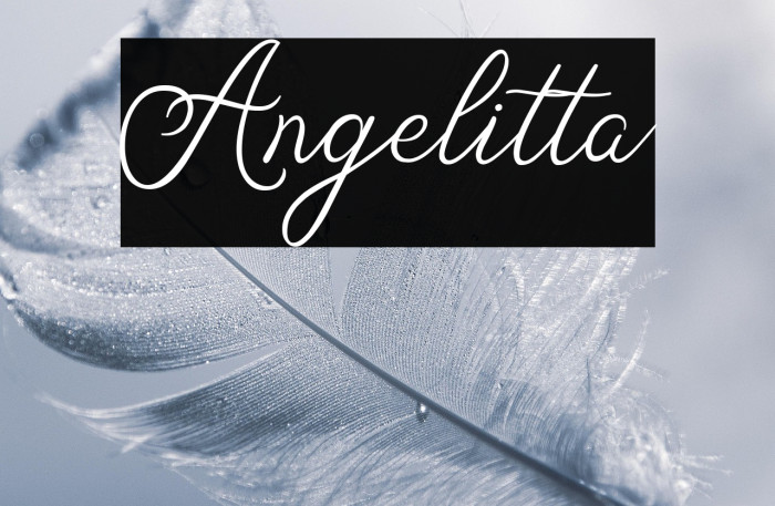 Angelitta Example 2